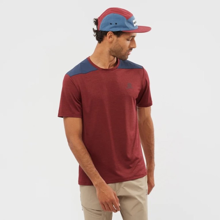 Dark Red / Navy Salomon Outline Short Sleeve Men\'s T-Shirts | IE PG8405